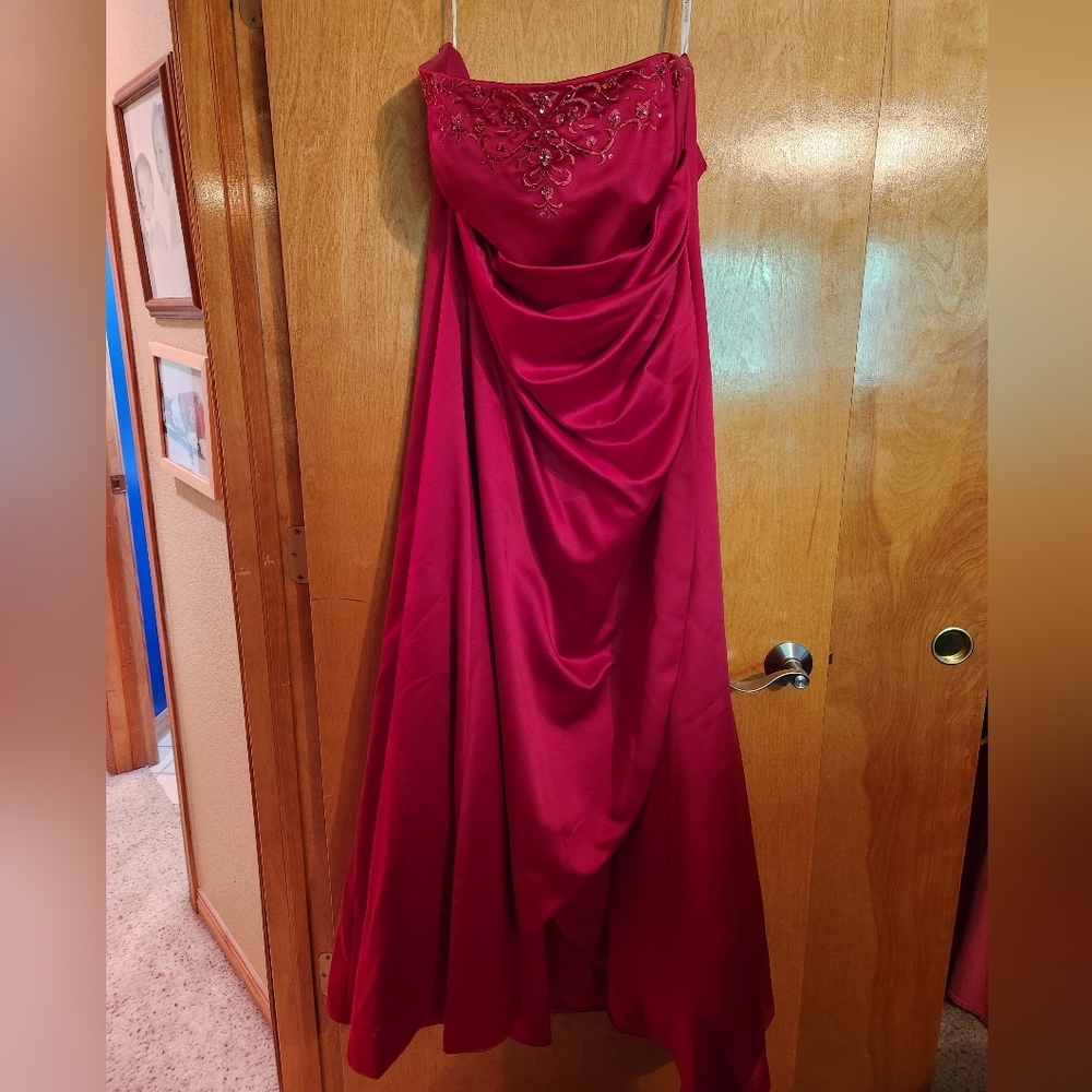 Prom/Special Occasion Dress